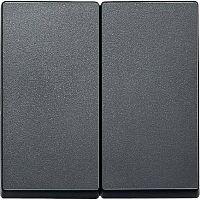 Лицевая панель Schneider Electric Merten System M для 2-кл. выключателя антрацит картинка